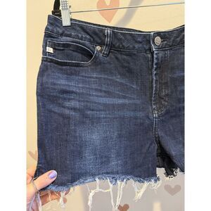Dear John Cutoff Jean Shorts 33